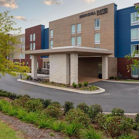 Springhill Suites By Marriott Suwanee Johns Creek المظهر الخارجي الصورة